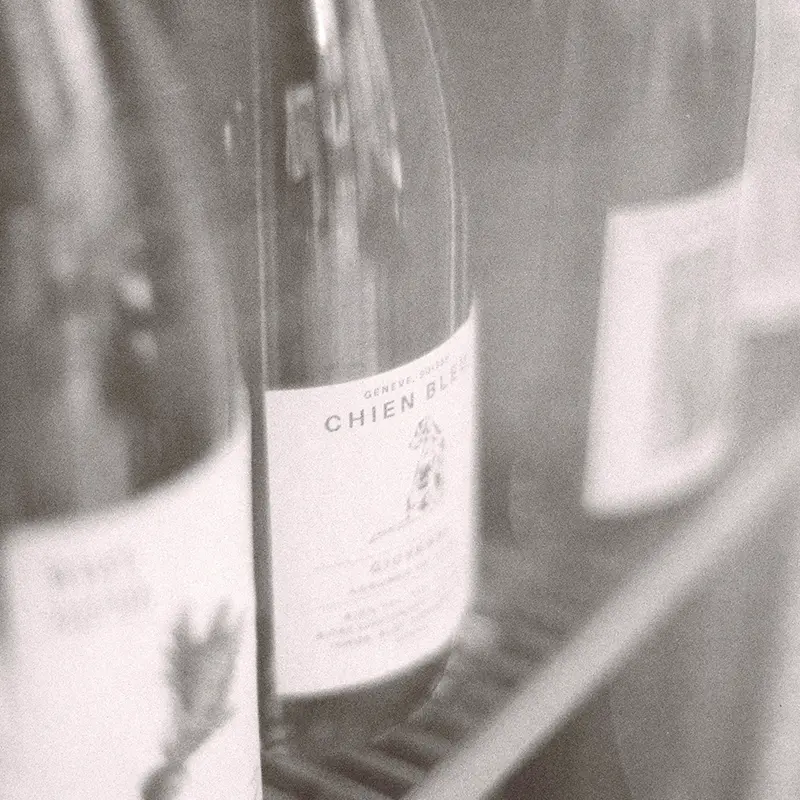 Slide_07